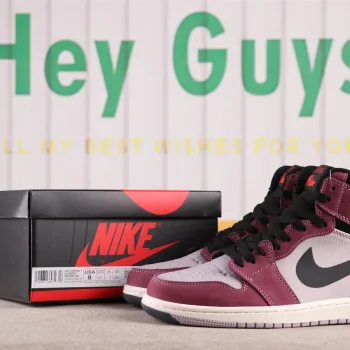 AJ 1 High Element Gore-tex Light Bordeaux