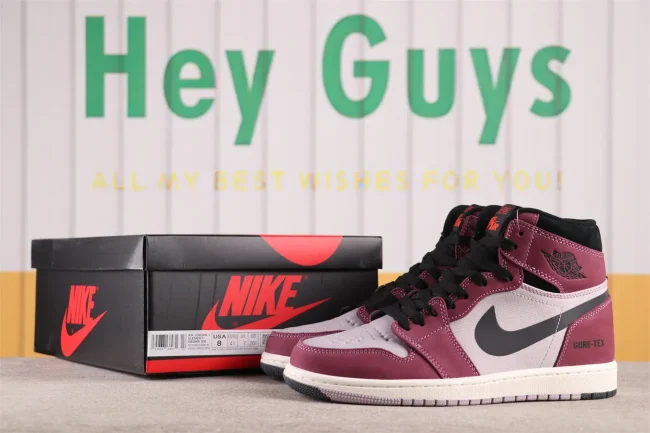 AJ 1 High Element Gore-tex Light Bordeaux